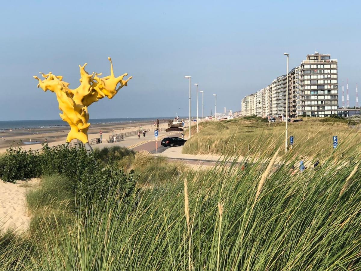 With A View * Middelkerke
